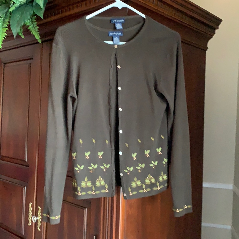 Sweater Set Ann Taylor